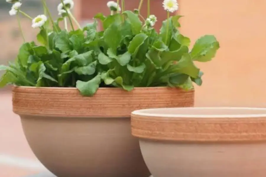 Jardinera o macetero?, lo mismo pero diferente.