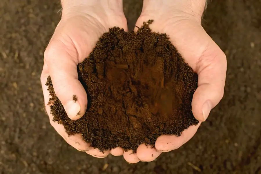 El sustrato, el soporte de subsuelo para plantas